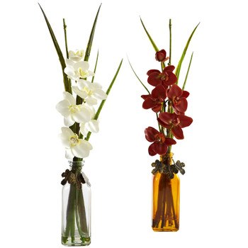 Phalaenopsis w/Colored Jar Set of 2 - SKU #4824-S2