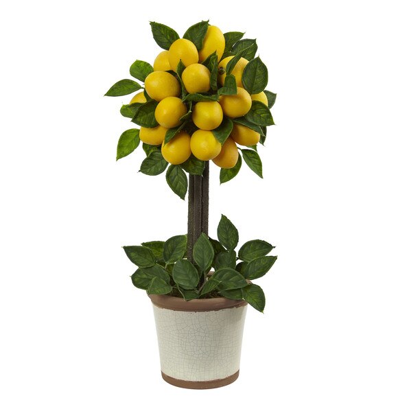 Lemon Ball Topiary Arrangement - SKU #4865