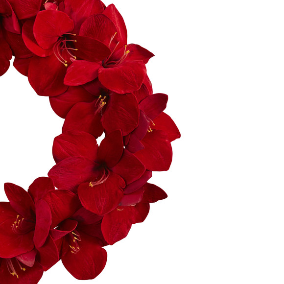 22 Amaryllis Wreath - SKU #4879 - 1