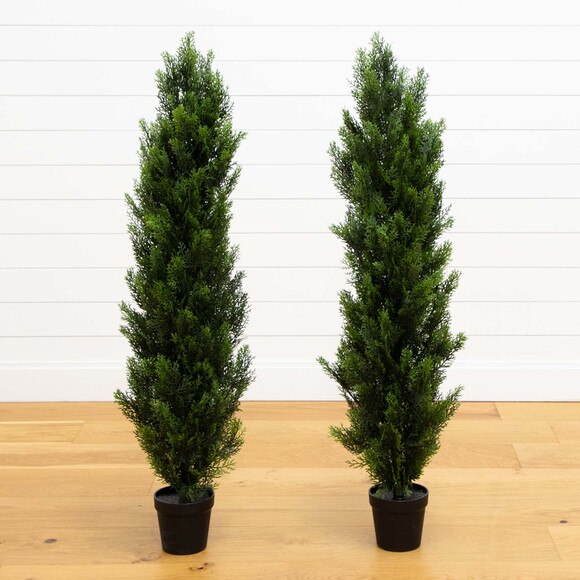 4 Cedar Tree Silk Tree In-door/Out-door - SKU #5172 - 1