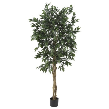 5 Smilax Tree - SKU #5266