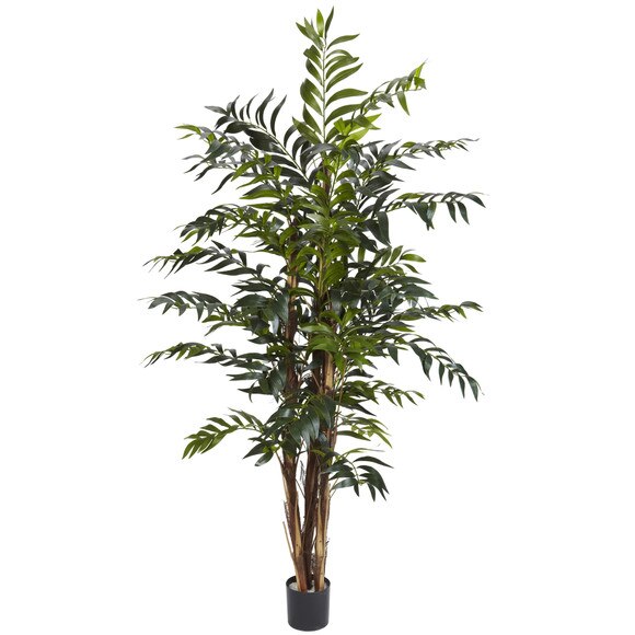 5 Bamboo Palm Silk Tree - SKU #5329