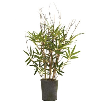 27 Bamboo Tree w/Cement Pot - SKU #5360