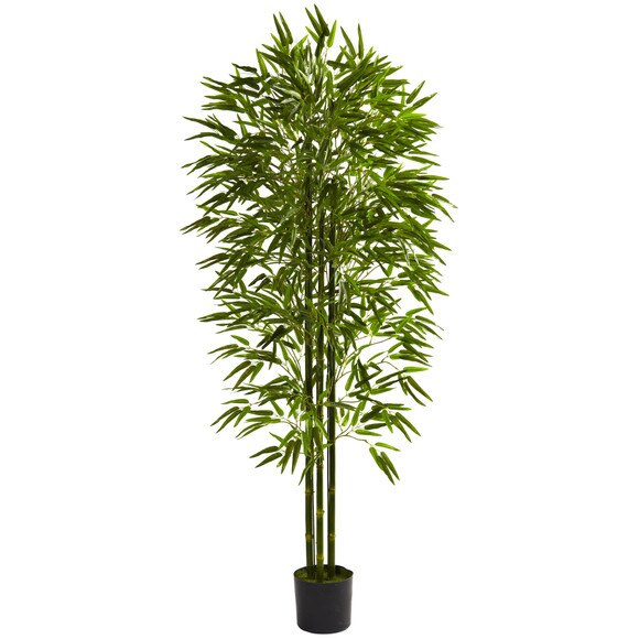 6 Bamboo Tree UV Resistant Indoor/Outdoor - SKU #5386