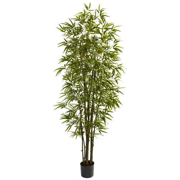 7 Green Bamboo Tree - SKU #5421