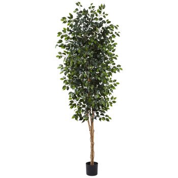 8 Ficus Tree w/1512 Lvs - SKU #5427