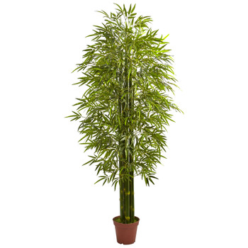 7 Bamboo Tree UV Resistant Indoor/Outdoor - SKU #5433