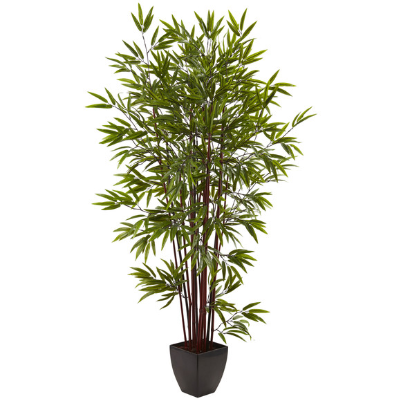 6 Bamboo Silk Tree w/Planter - SKU #5459
