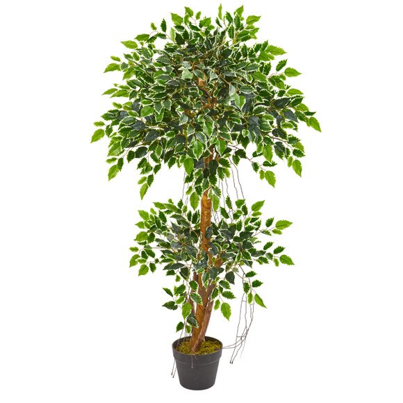 4 Variegated Ficus Artificial Tree - SKU #5544