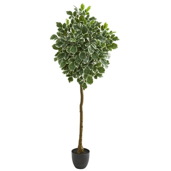 6 Variegated Aralia Artificial Tree - SKU #5549