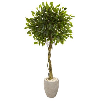 5.5 Ficus Artificial Tree in Oval Planter UV Resistant Indoor/Outdoor - SKU #5777