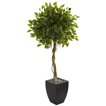 5.5 Ficus Artificial Tree in Black Wash Planter UV Resistant Indoor/Outdoor - SKU #5780