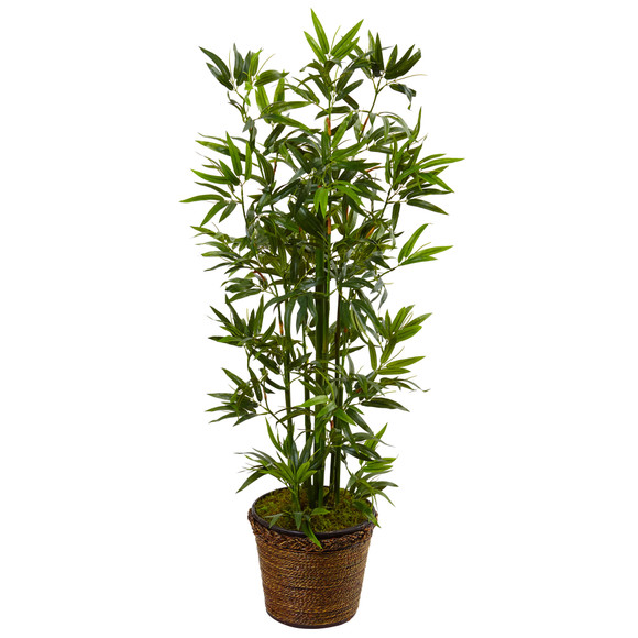 4 Bamboo Tree in Coiled Rope Planter - SKU #5808