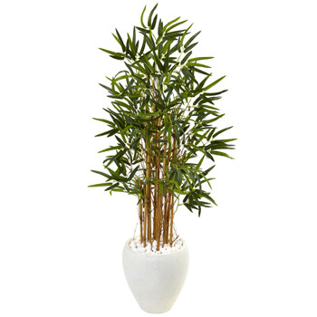 4 Bamboo Tree in White Oval Planter - SKU #5816