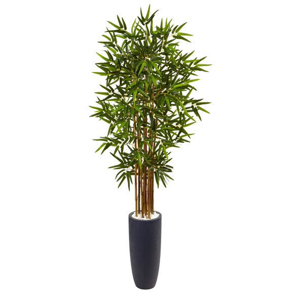 5 Bamboo Tree in Gray Cylinder Planter - SKU #5818