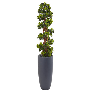 5 English Ivy Spiral Topiary Tree in Gray Cylinder Planter UV Resistant Indoor/Outdoor - SKU #5854