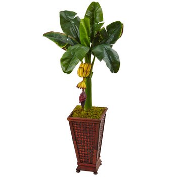 3.5 Banana Tree in Wooden Planter - SKU #5959