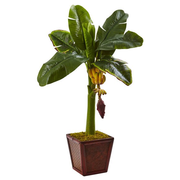 Banana Tree in Wooden Planter - SKU #5968