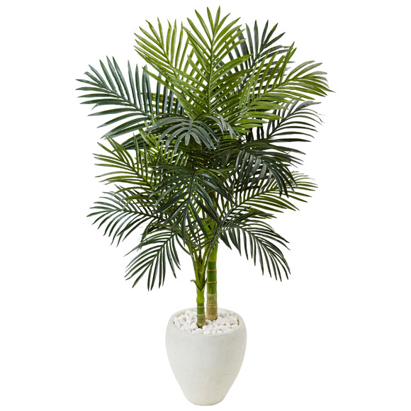 4.5 Golden Cane Palm Tree in White Oval Planter - SKU #5986