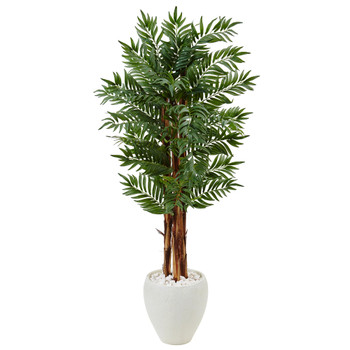 5 Parlor Palm Tree in White Oval Planter - SKU #5987