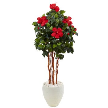 4.5 Hibiscus Tree in White Oval Vase - SKU #5998