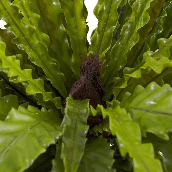 26 Asplenium Artificial Plant Set of 2 - SKU #6124-S2 - 1