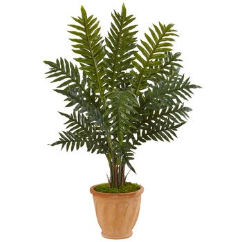 4 Evergreen Plant in Terracotta Planter - SKU #6317