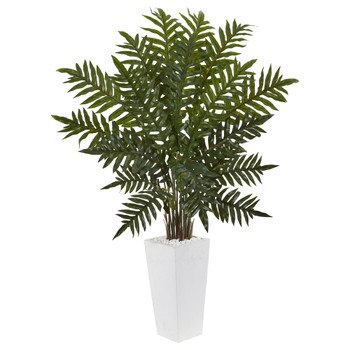 4.5 Evergreen Plant in White Tower Planter - SKU #6318