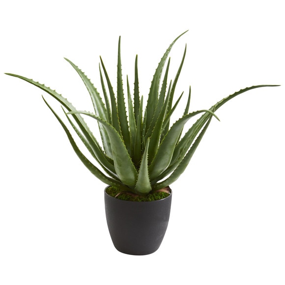 Aloe Artificial Plant - SKU #6353