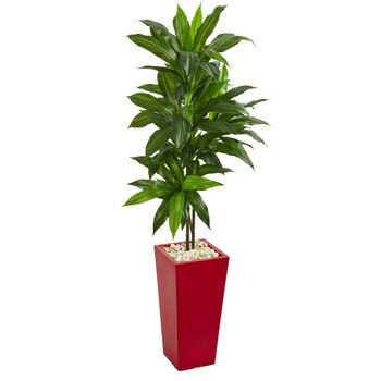 5 Dracaena Artificial Plant in Red Planter Real Touch - SKU #6435