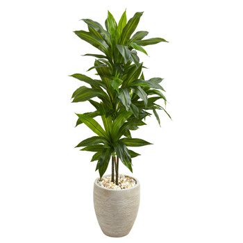 4 Dracaena Artificial Plant in Sand Colored Planter Real Touch - SKU #6456