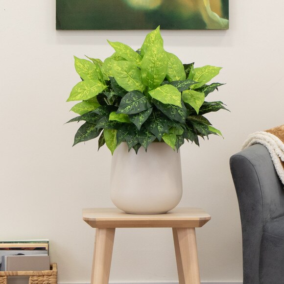 19 Artificial Dieffenbachia Plant - Set of 6 - SKU #6620-S6 - 4
