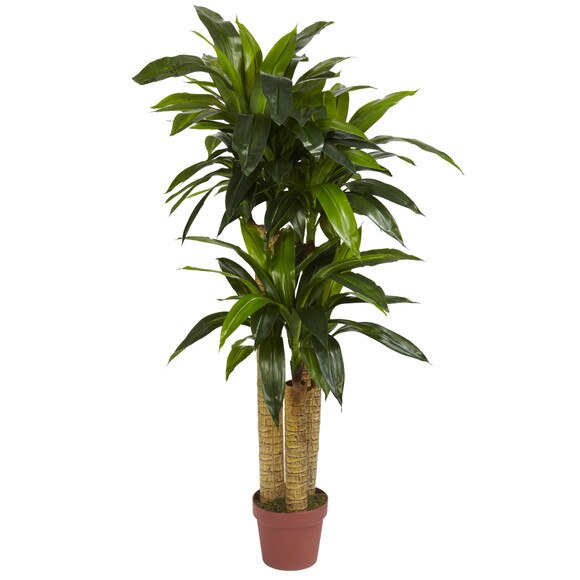 4 Corn Stalk Dracaena Silk Plant Real Touch - SKU #6648