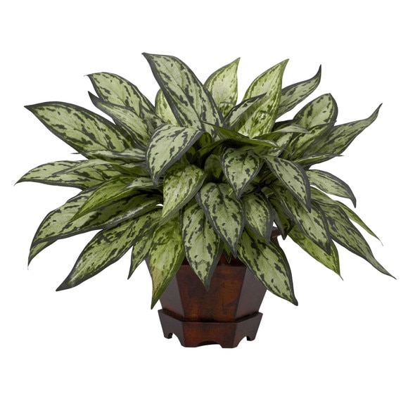 Triple Silver Queen w/Hexagon Vase Silk Plant - SKU #6696