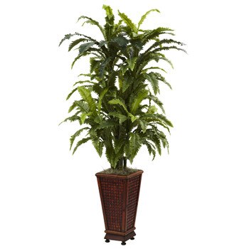 Marginatum w/Decorative Planter - SKU #6747