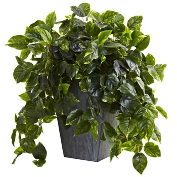 Hanging Pothos w/Slate Planter UV Resistant Indoor/Outdoor - SKU #6799