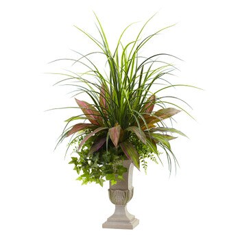 3 Mixed Grass Dracena Sage Ivy Fern w/Planter - SKU #6827
