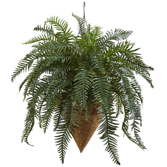 Giant River Fern with Cone Hanging Basket - SKU #6871