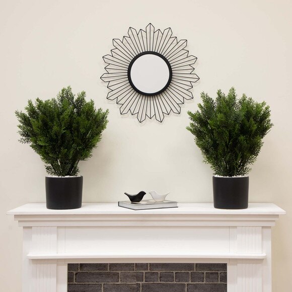 2 Cedar Bush Indoor/Outdoor - SKU #6880 - 3