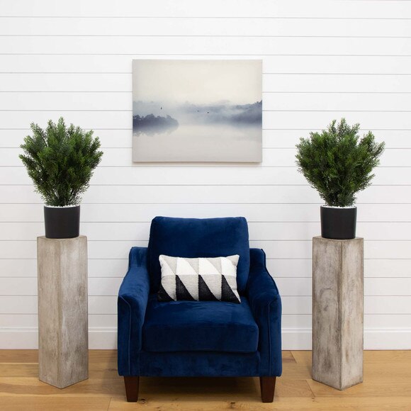 2 Cedar Bush Indoor/Outdoor - SKU #6880 - 4
