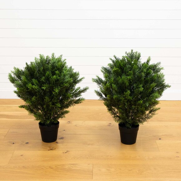 3 Cedar Bush Indoor/Outdoor - SKU #6881 - 1