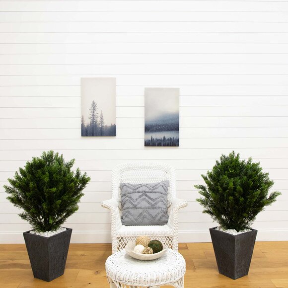 3 Cedar Bush Indoor/Outdoor - SKU #6881 - 3