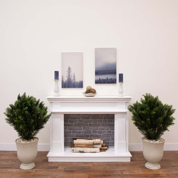 3 Cedar Bush Indoor/Outdoor - SKU #6881 - 4