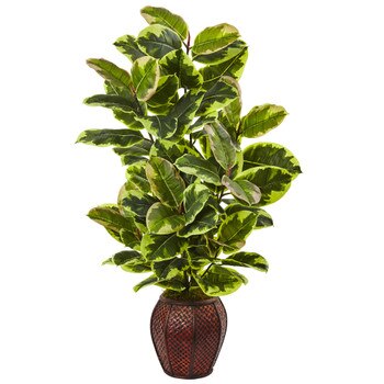 Rubber Plant with Planter - SKU #6909