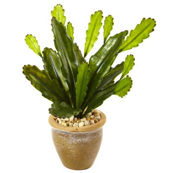Cactus in Glazed Clay Pot - SKU #6923