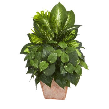 Mix Greens Dish Garden Artificial Plant in Terracotta Planter - SKU #8078