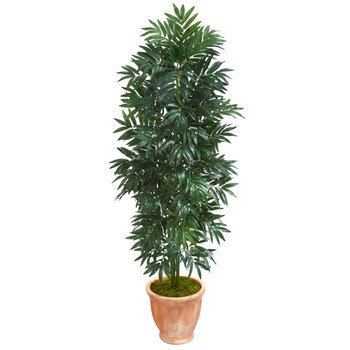 5 Bamboo Palm Artificial Plant in Terra cotta Planter - SKU #8084