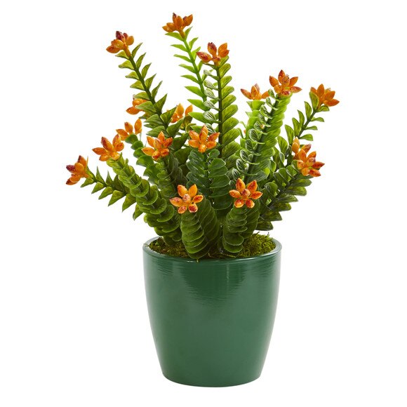 Sedum Succulent Artificial Plant in Green Planter Set of 2 - SKU #8213-S2 - 1