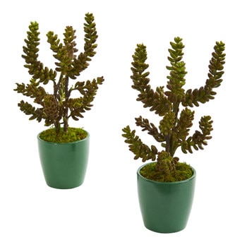 Succulent Artificial Plant in Green Pot Set of 2 - SKU #8215-S2