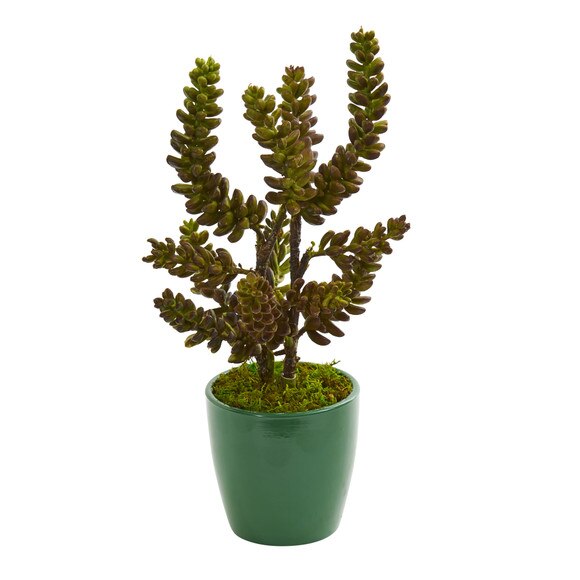 Succulent Artificial Plant in Green Pot Set of 2 - SKU #8215-S2 - 1